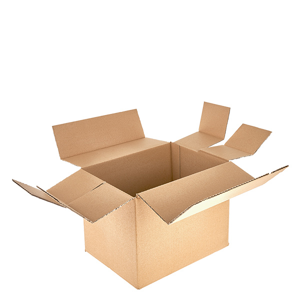 Caixas de vidro (25 peças) com 6 compartimentos 250x170x195mm