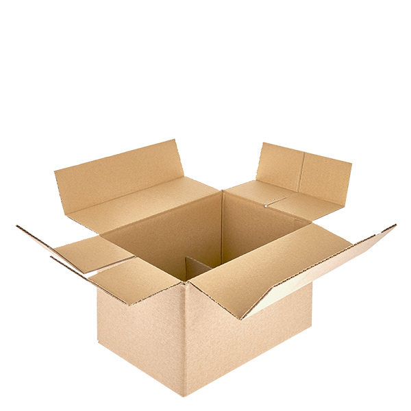 Caixas de vidro (25 unidades) com 6 compartimentos 234x155x147mm