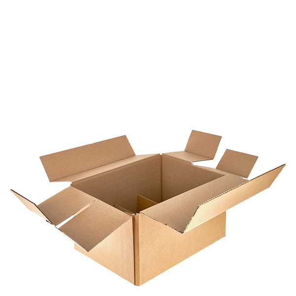 Caixas de vidro (25 peças) com 6 compartimentos 330x225x180mm