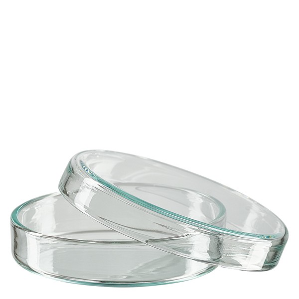 Placa de Petri de 60 mm em vidro transparente de laboratório para o cultivo de microrganismos e culturas de células. Altura 15 mm