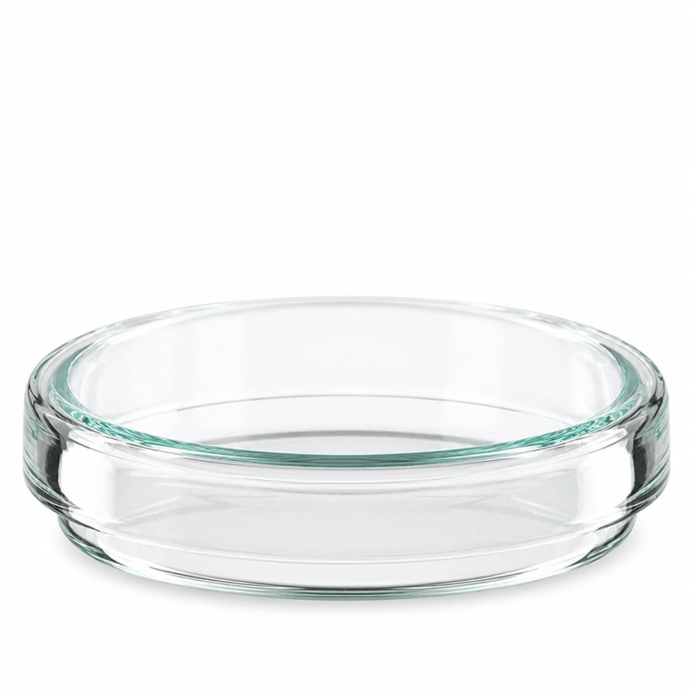 Placa de Petri individual de vidro, 60 x 15 mm, vazia e transparente, vista de frente sobre fundo branco