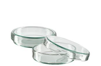 Caixas de Petri (vidro)