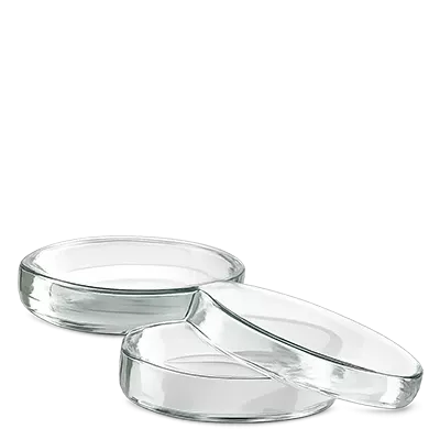 Caixas de Petri (vidro)